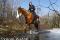 cheval paint