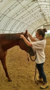 RECHERCHE EMPLOI PALEFRENIÈRE ou OUVRIÈRE DE FERME