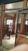 RECHERCHE EMPLOI PALEFRENIÈRE ou OUVRIÈRE DE FERME