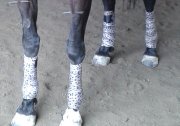 Polos et arçon extra wide