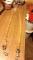 Tapis, sangle, bride, rênes, cravache
