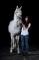 Superbe cheval arabe