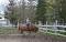Recherche pension st-hyacinthe 