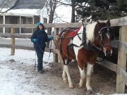 *COMBLÉ* Demi-Pension à Sainte-Sophie (Laurentides)