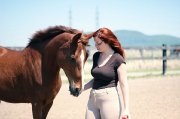 Guilding arabe X en demi pension