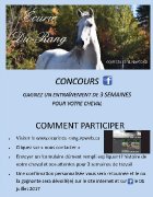 Concours entrainement 
