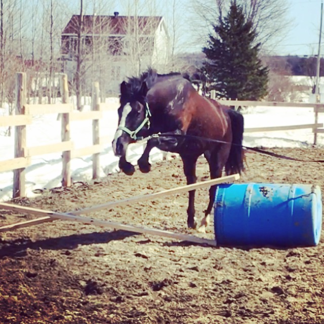 SUPERBE LARGE PONETTE 5ans!