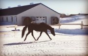 SUPERBE LARGE PONETTE 5ans!
