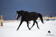 SUPERBE LARGE PONETTE 5ans!