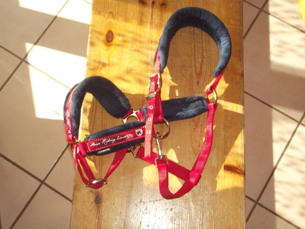 Vends licol taille 2