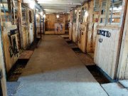 Pension chevaux RIVE SUD BELLECHASSE 