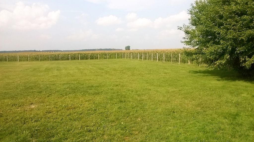 Garderie pour chiens (maison à la campagne, terrain clôturé)