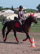 recherche entretien de chevaux pour été 2017