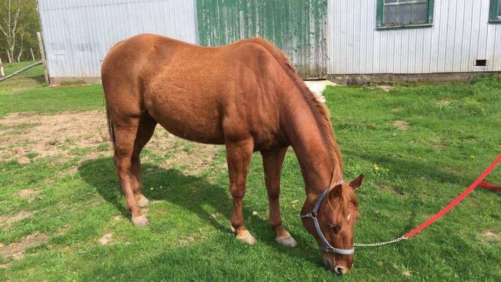 QH non enregistré 10 ans