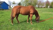 QH non enregistré 10 ans 