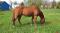 QH non enregistré 10 ans 