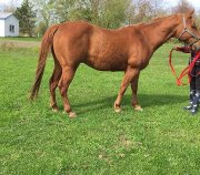 QH non enregistré 10 ans 