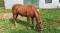 QH non enregistré 10 ans 