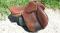 Recherche selle de saut brun chocolat