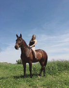 Recherche demi-pension mirabel