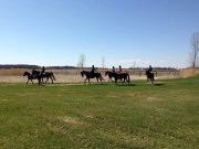 Pension chevaux belle écurie familiale St-Marc-sur-Richelieu