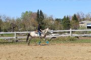 Recherche demi-pension rive-sud de Québec