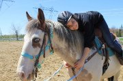 Recherche demi-pension rive-sud de Québec