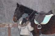 Exercer vaut chevaux 