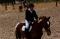 Concours de CSO