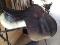Selle collegiate 16 pour poney