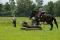 percheron x curly cherche demi-pension