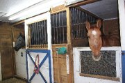    PENSION POUR CHEVAUX ,1 BOX LIBRE POUR SEPTEMBRE 2017