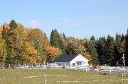    PENSION POUR CHEVAUX ,1 BOX LIBRE POUR SEPTEMBRE 2017