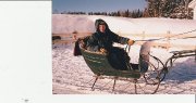 SLEIGH ET CART EN CHENE ,ET ATTELAGE A VENDRE