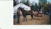 SLEIGH ET CART EN CHENE ,ET ATTELAGE A VENDRE