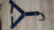 Breast collar western