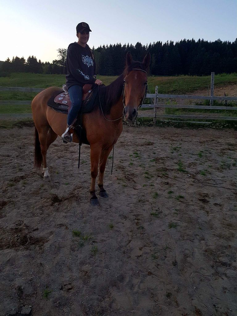 Guilding quarter horse