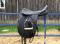 Selle dressage Dante Mondega