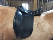 Selle dressage Dante Mondega