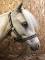 Poney à vendre 37"