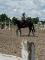 tb a vendre de 7 ans beau petit projet urgent