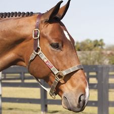 Recherche Pension 4-5 chevaux ,région de Québec