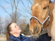 AVEZ VOUS VU CE CHEVAL 