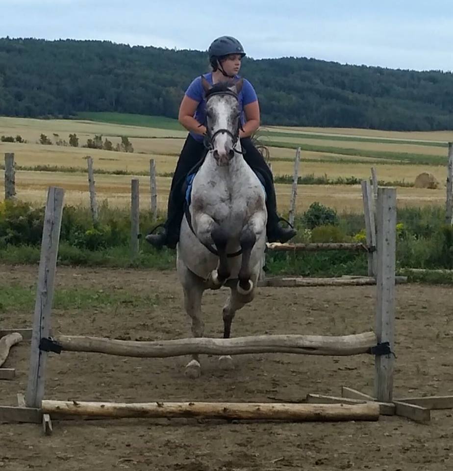 Cours d'équitation