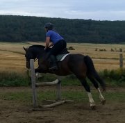 Cours d'équitation