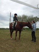 Cours d'équitation