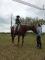 Cours d'équitation