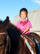Cours d'équitation