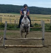 Cours d'équitation