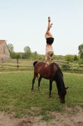 Demi pension superb cheval !!